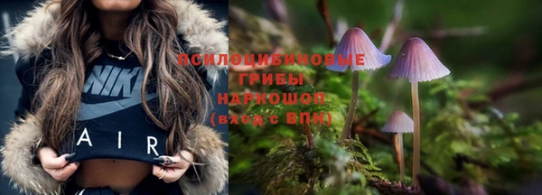 марихуана Снежногорск