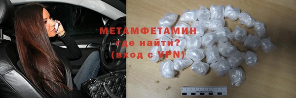 ПСИЛОЦИБИНОВЫЕ ГРИБЫ Гусев