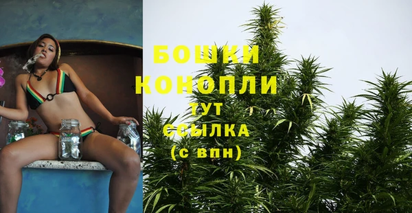 эйфоретик Вязники