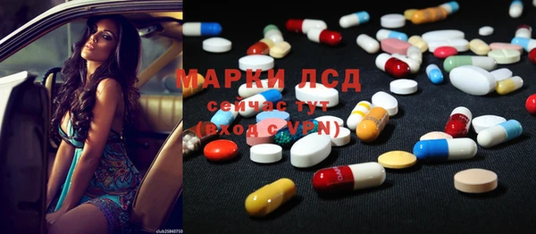 ПСИЛОЦИБИНОВЫЕ ГРИБЫ Гусев
